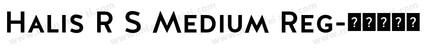 Halis R S Medium Reg字体转换